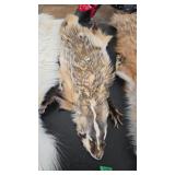 BADGER HIDE