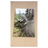 CANVAS PHOTOGRAPH