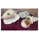 3 LARGE SEA SHELLS