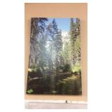 CANVAS PHOTOGRAPH 20'X30'