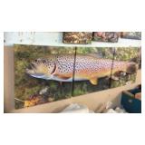 3PC CANVAS FISH PHOTOGRAPH, EA 20'X20'