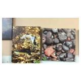2 CANVAS PHOTOGRAPHS-FISH & RIVER ROCK
