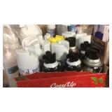 BX W/ WASP & HORNET SPRAY, LYSOL