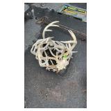ANTLERS