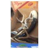 BX W/ ANTLERS & HORN