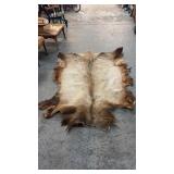 TANNED BULL ELK HIDE