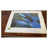 TERRY PYLES SIGNED & NUMBERED FISH PRINT