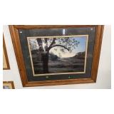 MEADOW SCENE PHOTOGRAPH, FRAMED