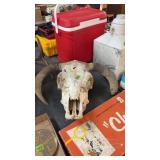 COW SKULL