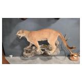 FULL BODY MOUNTAIN LION MOUNT ON HANGING BASE