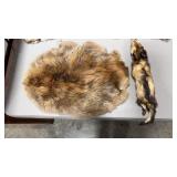 BEAVER PELT AND POLECAT TANNED PELT