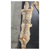 TANNED WOLF PELT