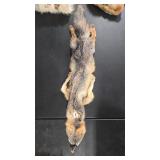 TANNED GREY FOX PELT