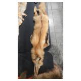 TANNED RED FOX PELT