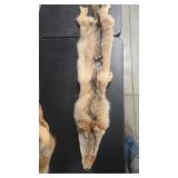 TANNED WOLF PELT