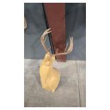 WHITE TAIL DEER SHOULDER MOUNT MOLD