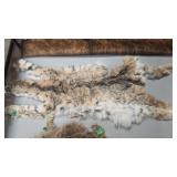 BOBCAT TANNED PELT