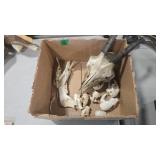 ASSORTED ANIMAL SKULLS