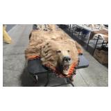 GRIZZLY BEAR HIDE RUG 68' HEAD TO TAIL