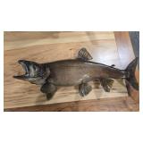 CHINOOK SALMON MOUNT 32' LENGTH