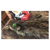 RACOON PELT