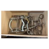 GROUP OF HORSE BITS