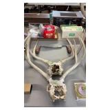 2 DEER SKULLS W/ ANTLERS
