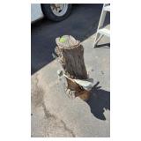 TREE STUMP W/ INGROWN BONE