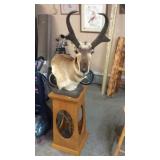 ANTELOPE MOUNT ON PEDESTAL