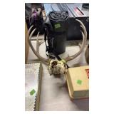 MULE DEER ANTLERS & SKULL