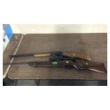 BB GUN & PELLET GUN