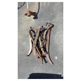 GROUP OF HARNESS HAMES