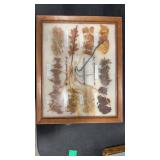 BOTANICAL DYES/SOURCES OF NATIVE AMERICANS