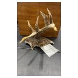 DENNIS KEVIS MOOSE ANTLER CARVED SCULPTURE