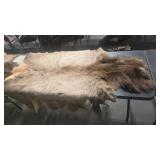 TANNED ELK HIDE