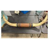 MOUNTED STEER HORNS