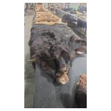 FULL BODY BLACK BEAR TANNED HIDE