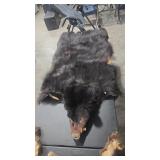 FULL BODY BLACK BEAR TANNED HIDE