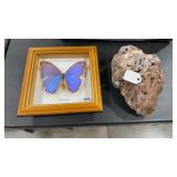 HEART ROCK & MORPDODIDIUS BUTTERFLY