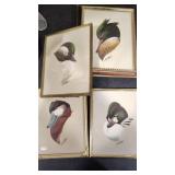 SIGNED BIRD FRAMED ART ASSORTMENT