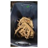 BOX OF ANTLERS