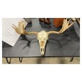 47' MOOSE EURO MOUNT
