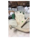 MOOSE ANTLER
