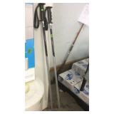 SKI POLES