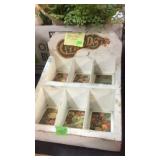 1950'S STORE DISPLAY BOX FOR SEEDS