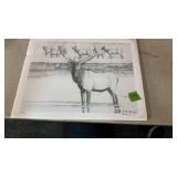 BRETT THUMA ELK PRINT