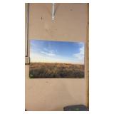 PRAIRIE ON CANVAS PICTURE