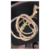 BULL WHIP