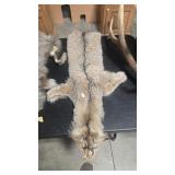 BOBCAT PELT