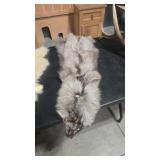 SILVER FOX PELT